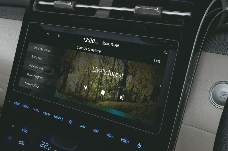 Ambient-sounds-of-nature-2