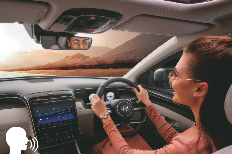 Embedded-voice-commands