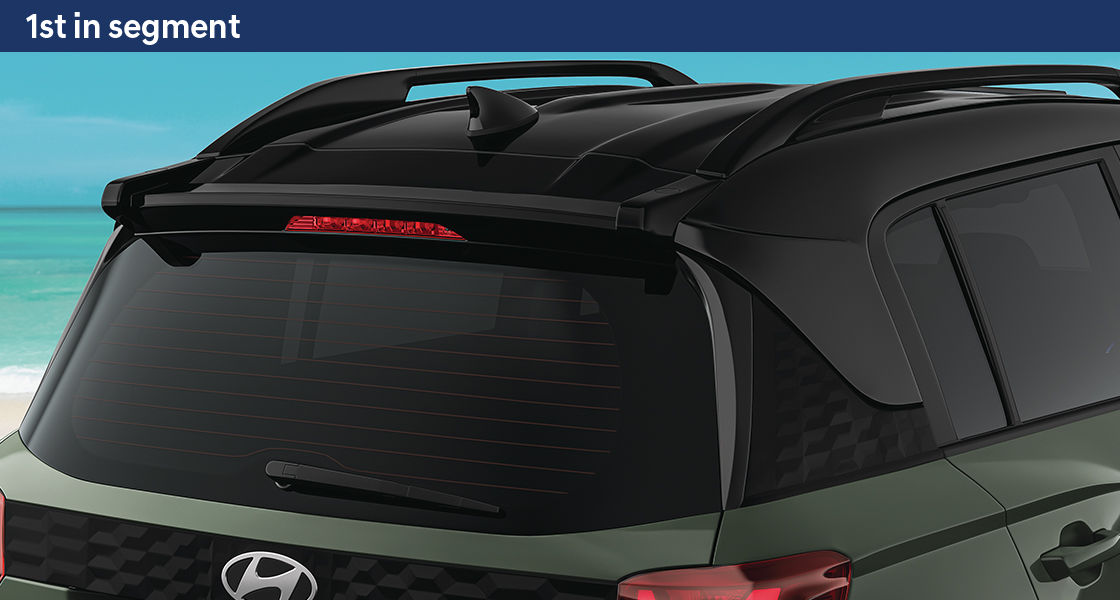 Painted-black-rear-spoiler-roof-rails
