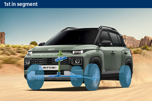 Vehicle-stability-management-VSM